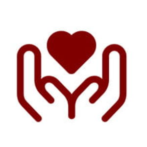 MVV heart