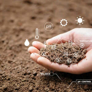 Hand scooping up soil
